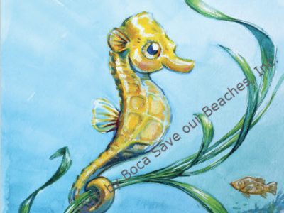 Become more Aware of Single Use Plastic with Seymour the Seahorse (for children, ages 4-6)