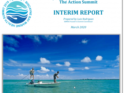 Biscayne Bay Marine Health Summit – The Action Summit Interim Report