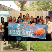 Local 10 News Miami – Plastics report has some Florida leaders pushing for tougher laws