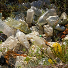 Study raises questions about plastic pollution’s effect on heart health