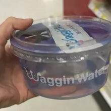 ‘Pointless’ pet product found on store shelves sparks outrage among customers: ‘How hard is it …’