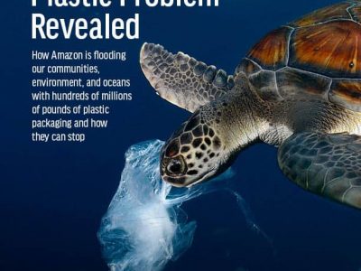 Amazon’s Plastic Problem Revealed