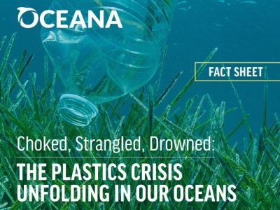 Choked, Strangled, Drowned: The Plastics Crisis Unfolding in our Oceans